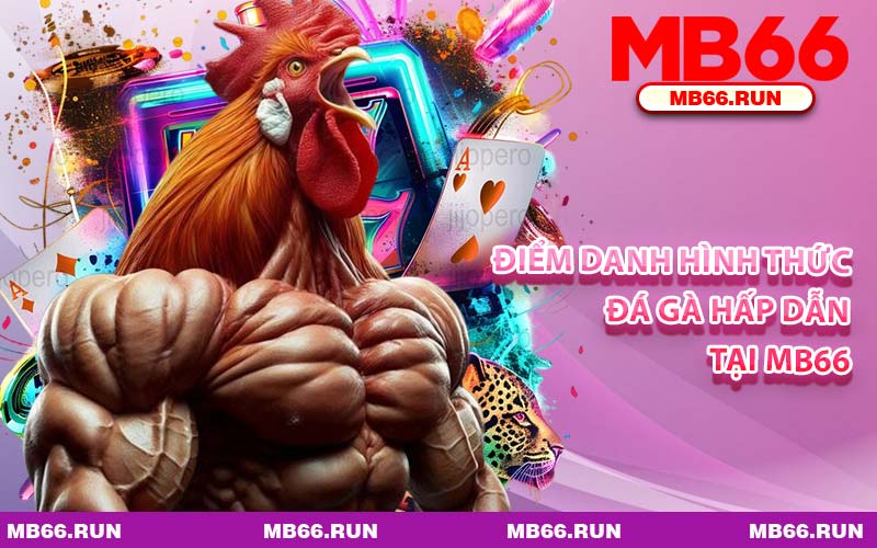 Điểm Danh Hình Thức Đá Gà Hấp Dẫn Tại MB66