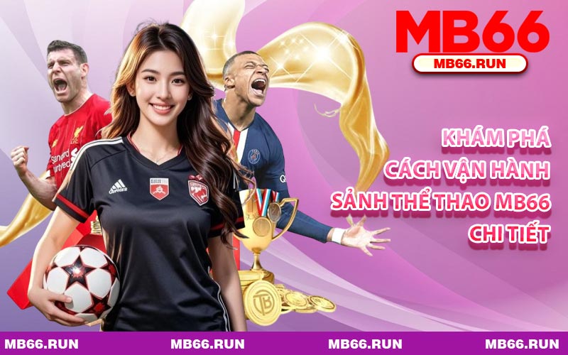 Khám Phá Cách Vận Hành Sảnh Thể Thao MB66 Chi Tiết