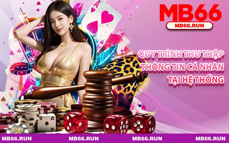 Quy Trình Thu Thập Thông Tin Cá Nhân Tại Hệ Thống