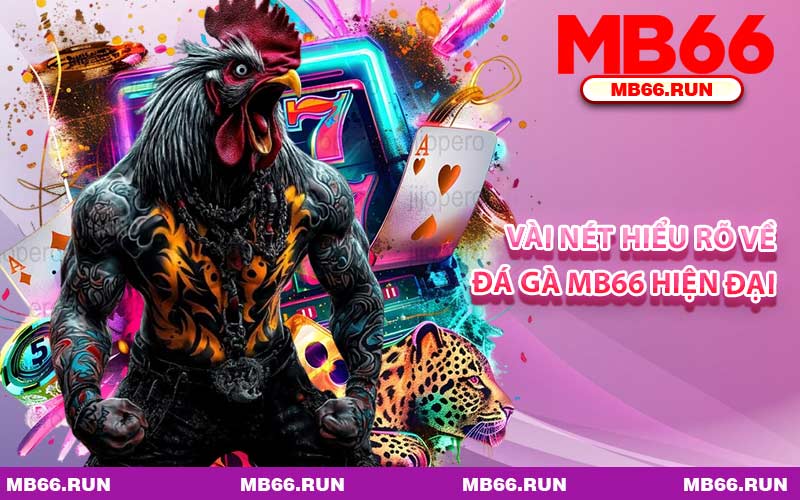 Vài Nét Hiểu Rõ Về Đá Gà MB66 Hiện Đại
